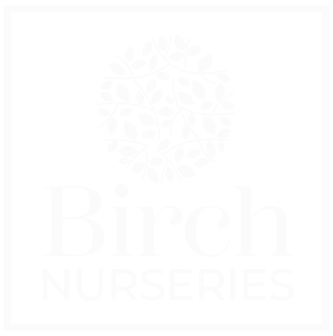 birch nurseries logo